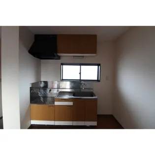 ニューレックアピオンII【2階】のキッチン