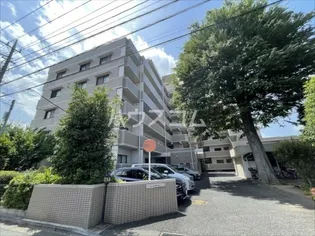 ヒルズ神明の木の画像