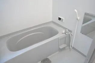 リビングタウン宇多津東 A棟【1階】の風呂