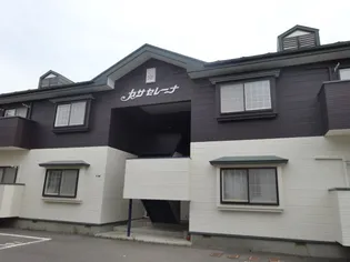 カサセレーナA【2階】の外観