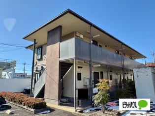 セフィラひまわりの画像