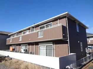 プラシードBの画像