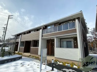 アパパネⅡの画像