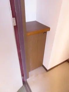 プレジール坂倉II【2階】の玄関