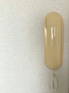 レオパレスアンテルブルグII【2階】のその他画像