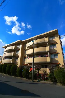 関取ハイム【4階】の外観