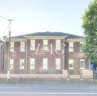 アンジェリカの画像