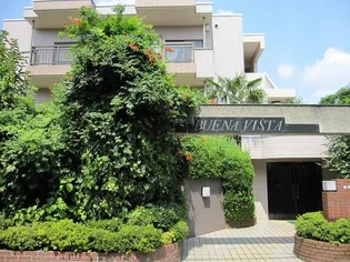 ブエナ ヴィスタの画像