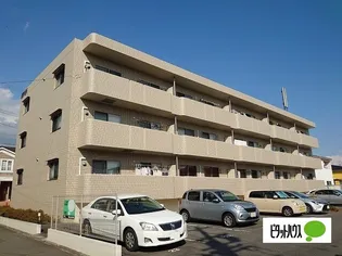 ラ フェスタの画像