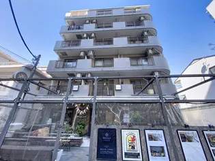 セシーズイシイ10の画像