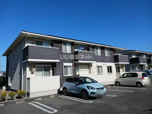 スペランツァ Ⅲの画像