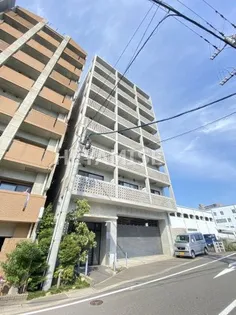 クーブスの画像