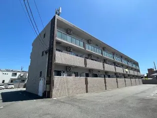 マエストロ斎宮の画像