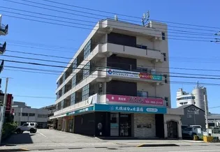 マツエビルの画像