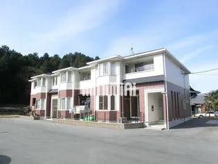 M GRACEの画像