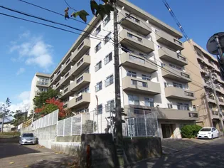 寄居マンションの画像