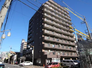 アゴラ葵の画像