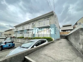 シティ ドミールの画像