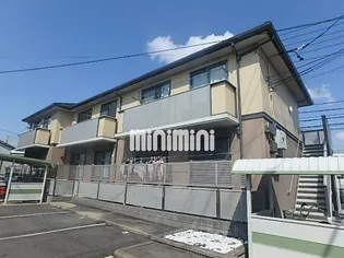 エクセーラ楠の画像