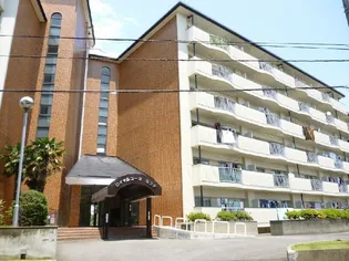 ロイヤルコーポヨコタの画像