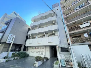 サン ルピナスの画像