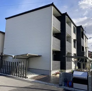 パレフローラの画像