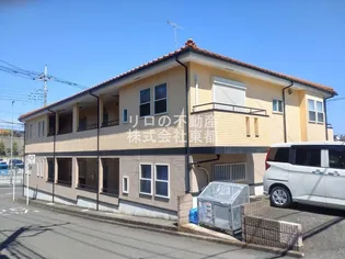 パミドールの画像