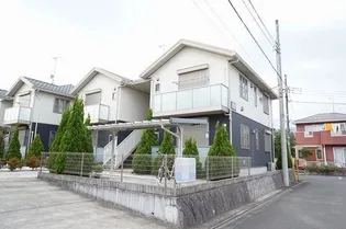 ヴィヴィアンBの画像