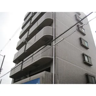 メゾンドールの画像