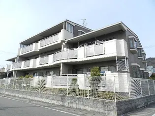 ラ ステラの画像