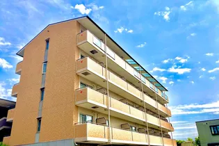 エクシードIIIの画像