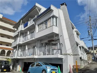 桐信濃ハイツ【3階】の外観