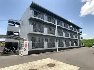 スカイメゾンA【3階】の外観