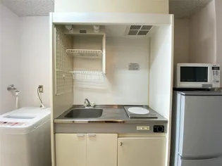 ミルキーウェイサウス棟【3階】のキッチン