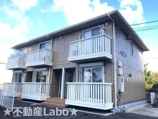 徳島県鳴門市撫養町大桑島字中之組【アパート】の外観