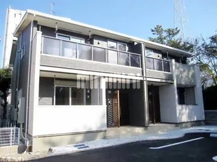 ルピナスの画像