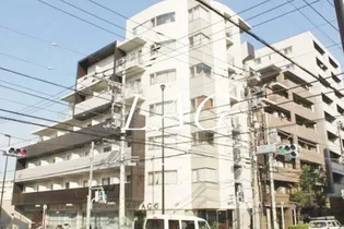 ハイム光の画像