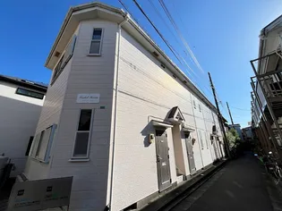 カーサカトレアの画像