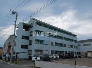 ドルフィン高井の画像