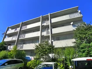 セレーノ大宮の画像