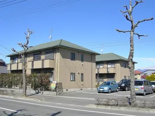 アンシャーリーの画像