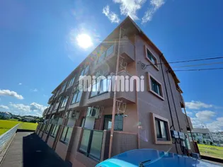 ドミールⅥの画像