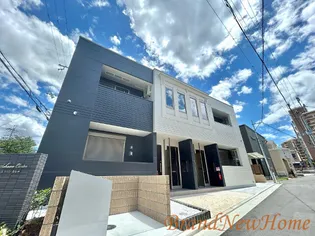 SCHAAN CARTERの画像