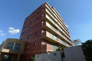 サングリーン海道割の画像