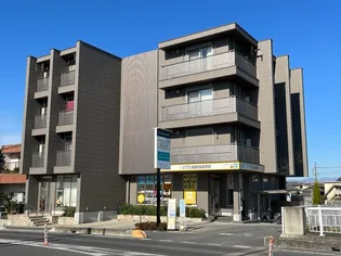 YS PRECIOUS IIIの画像