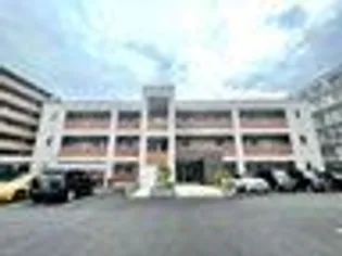 パーシモンの画像