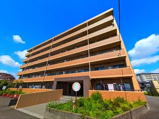 ノヴァ デ ガイアの画像