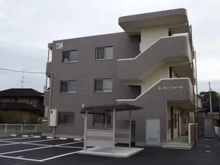 ユーミーシャーモの画像