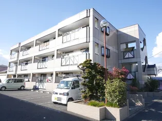 サザンフィールドの画像