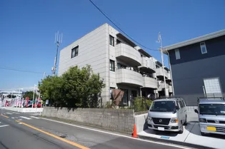 アルシオネの画像